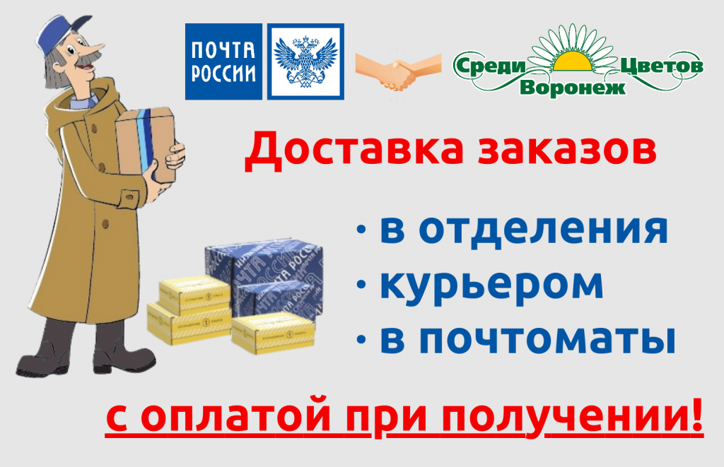 баннер почта 2.png баннер почта 2.png